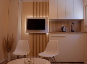 Luxury Studio Apartment